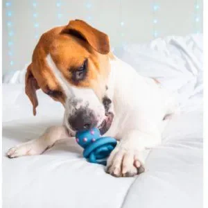 Dog Pacifier Chew Toy – 5-Pack TPR Teething Toys For Puppies & Small Dogs (Green, Tartar Cleaning) - View #8